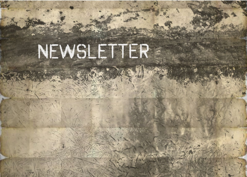 Newsletter Schriftzug auf einer Wand